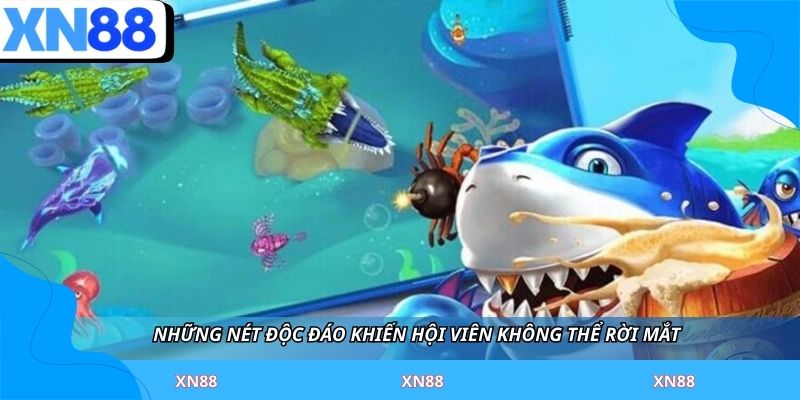 Những nét độc đáo khiến hội viên không thể rời mắt